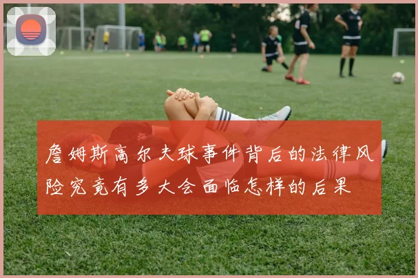 詹姆斯高尔夫球事件背后的法律风险究竟有多大会面临怎样的后果